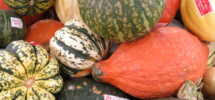 Reflection time – what will Feed your soul? Collection of squash