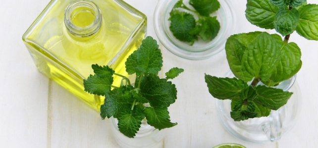 Mint leaves and bottle of oil