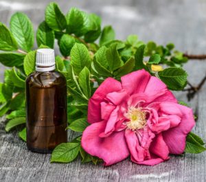 Rose blossom and bottle of essential oil