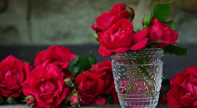 A Rose By Any Other Name…Is Good Medicine Red roses