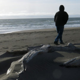 Person walking along windy beach