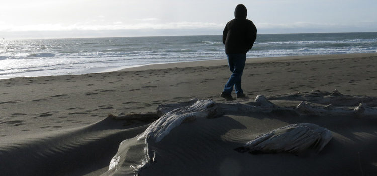 Person walking along windy beach