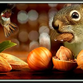 Squirrel gathering nuts