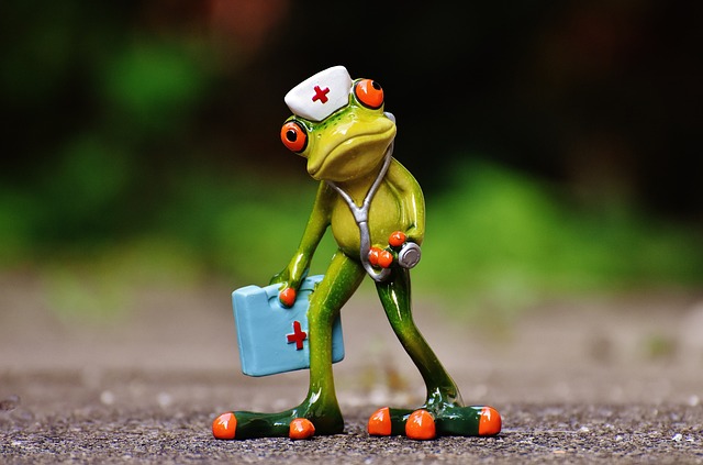Frog dressed as nurse